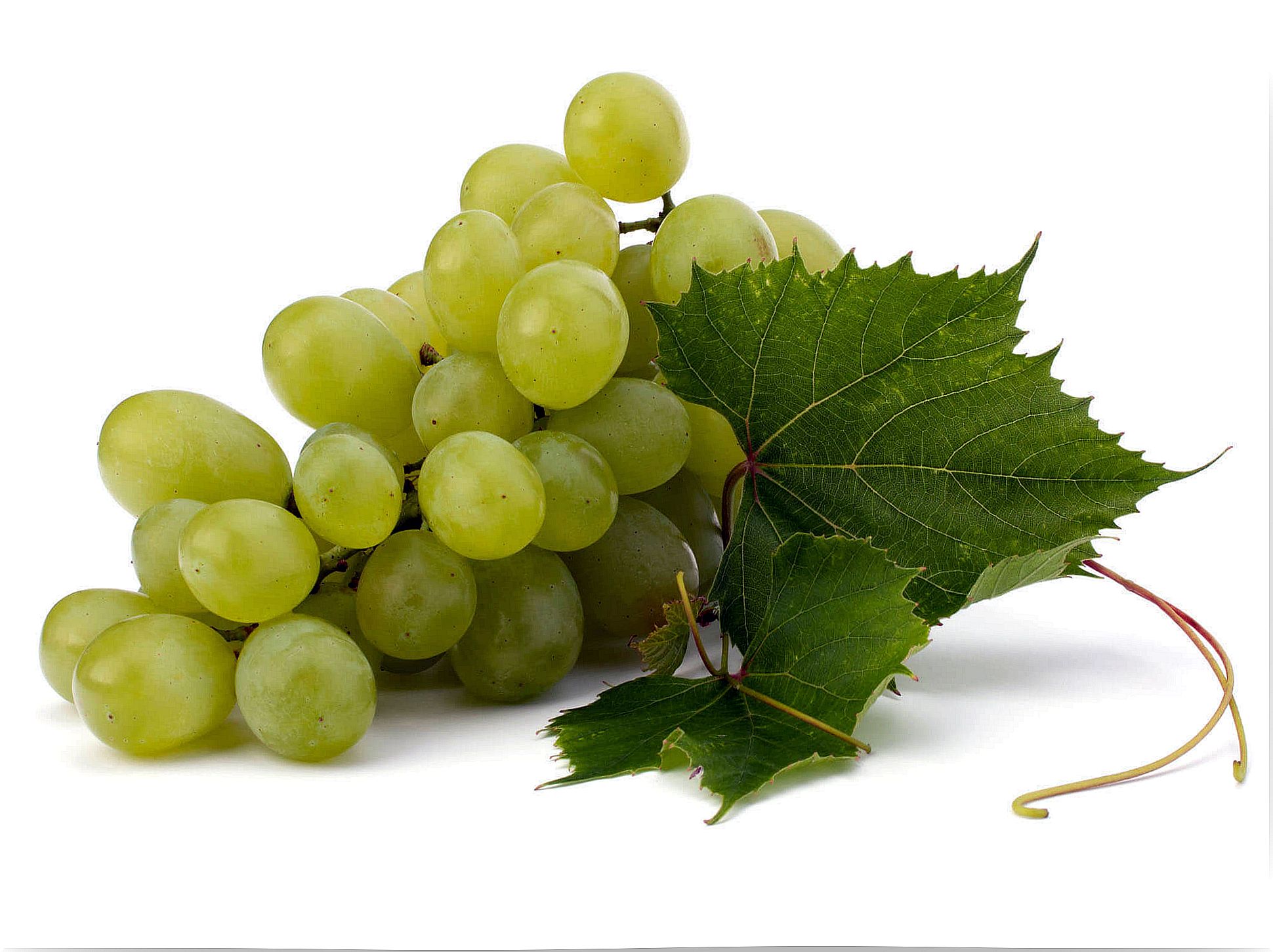 20 # green-anti-cancer-grapes.jpg