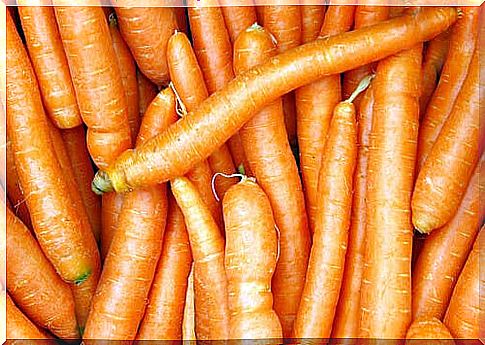 22 # carrot-anti-cancer.jpg