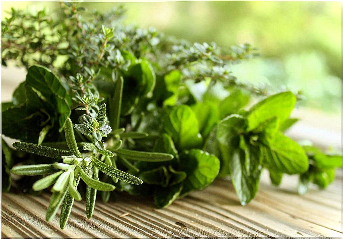 Fresh herbs and our breath