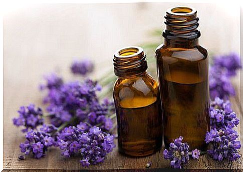 Lavender oil absorbs unpleasant odors