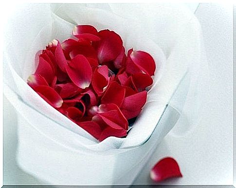 Rose petals - beauty secrets