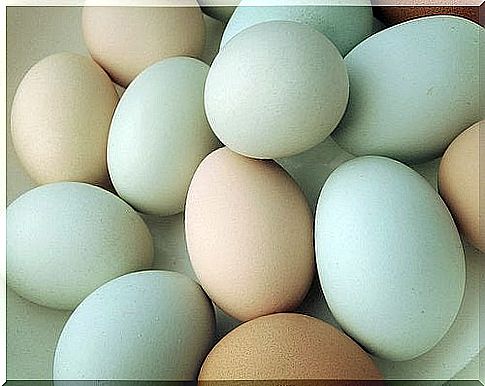 Eggs