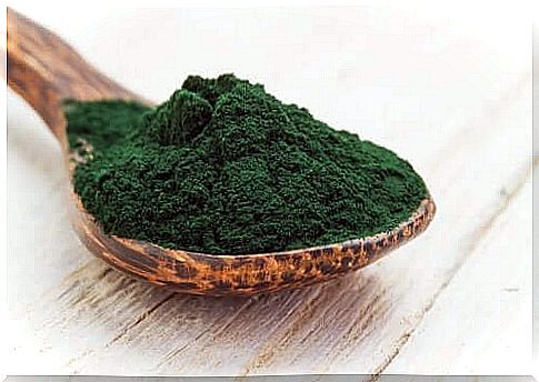 Spirulina on a spoon