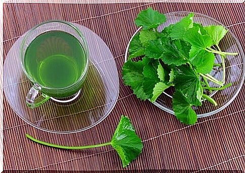 Parsley - 5 incredible benefits it offers