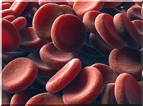 Red blood cells - natural ways to increase their number