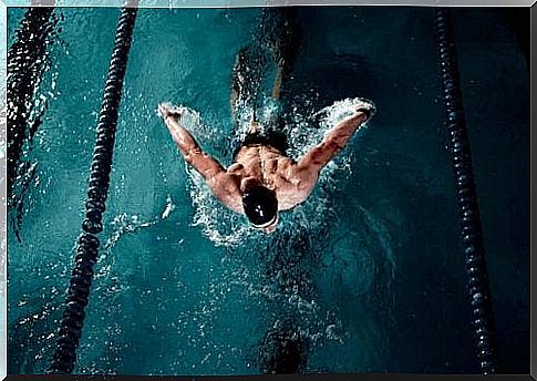 swimmer in the pool