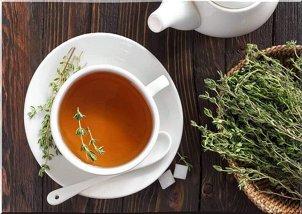 Thyme infusion and its amazing benefits