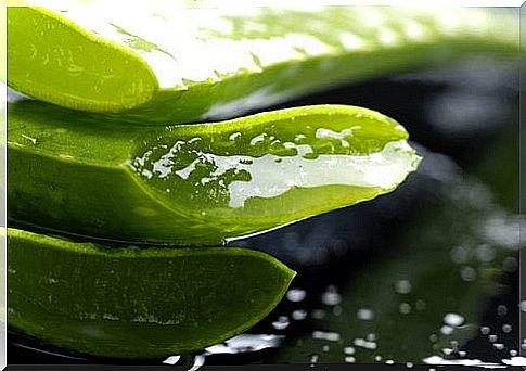 Aloe extract